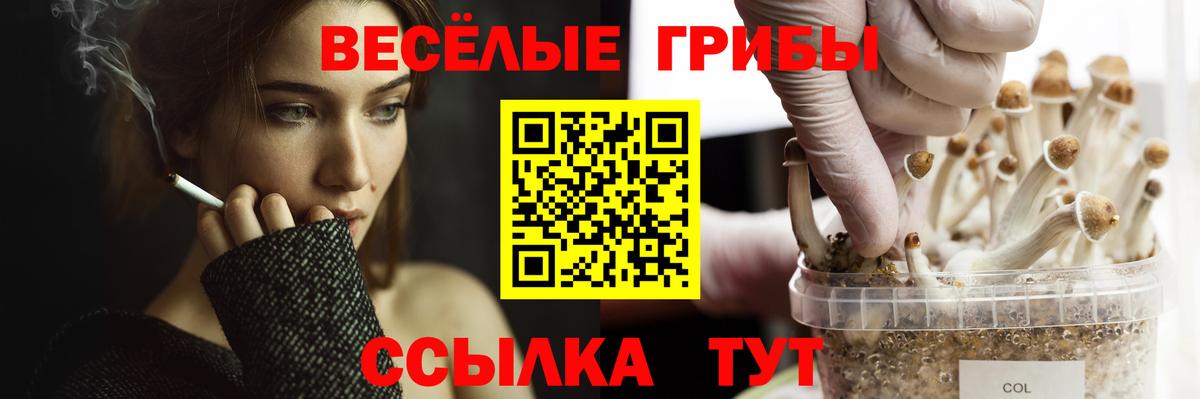 Чапаевск  Псилоцибиновые грибы мухоморы  Вход с VPN 